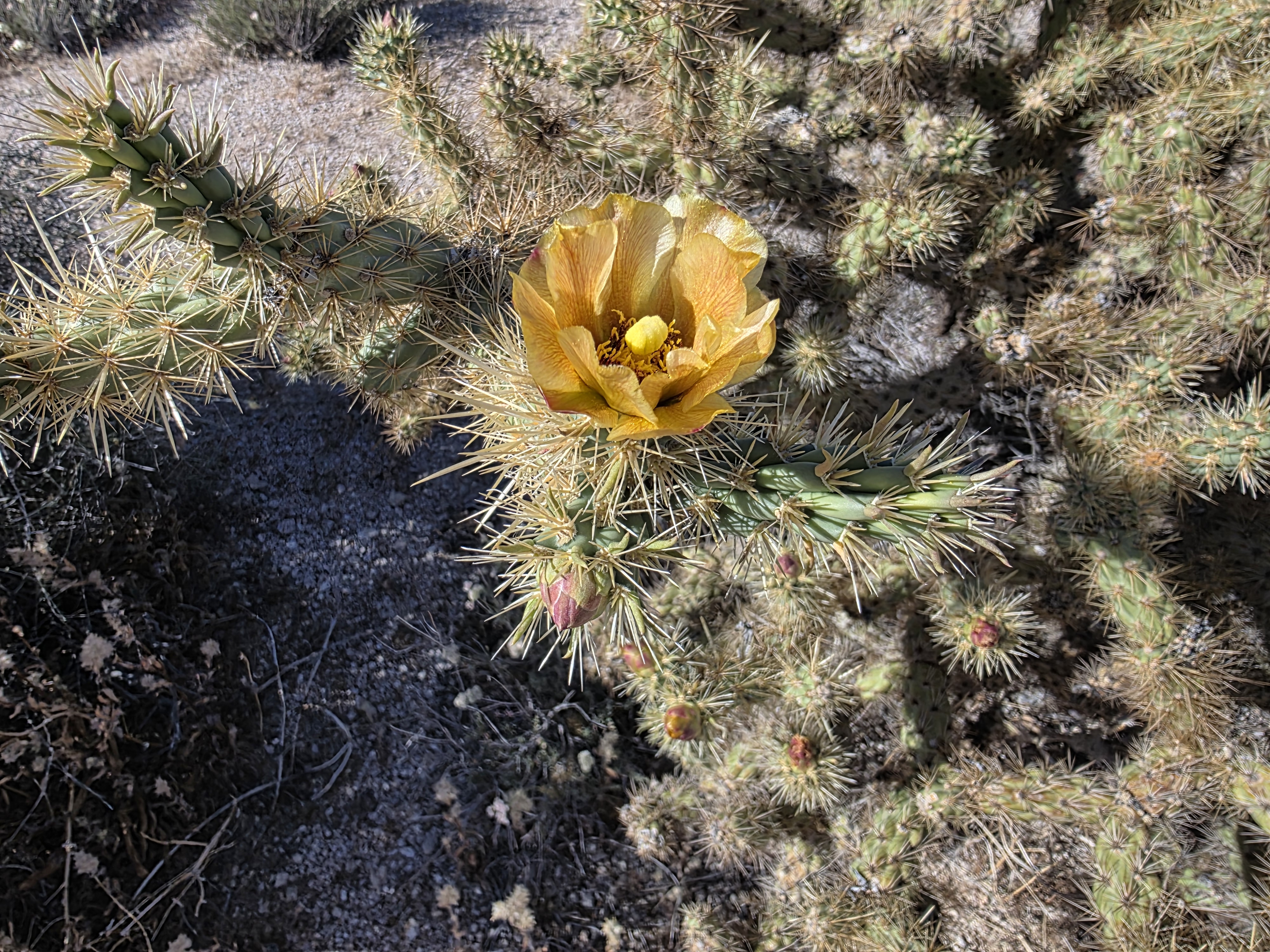 Recovered archive image